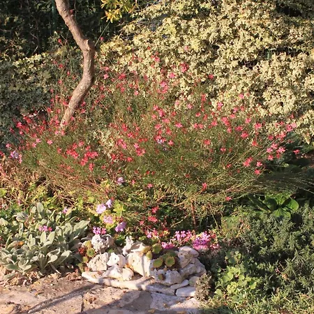 Lägenhet 2253a Medulin