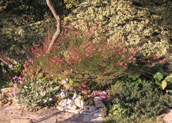 Apartman 2253a Medulin